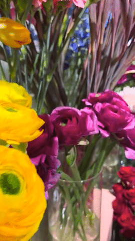 Ranunkeln und Rosen in leuchtenden Farben